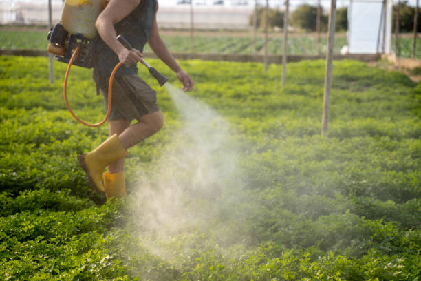 Pest Prevention Services in Greer, SC